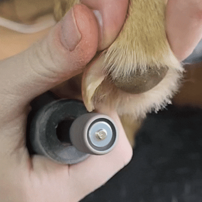 Ultra-Quiet Operation for Relaxed Grooming