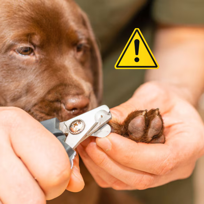 Nail splitting risk