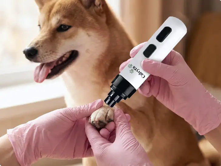 Rechargeable with a Long-Lasting Battery